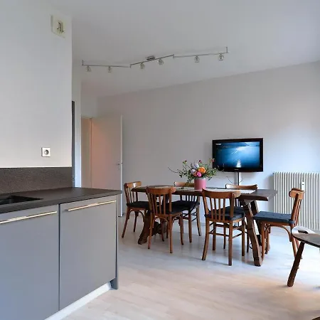Holiday home De Luxe En Hyper-centre Avec 3 Chambres, Balcon, Parking, Proche Musee Unterlinden - Fr-1-744-37