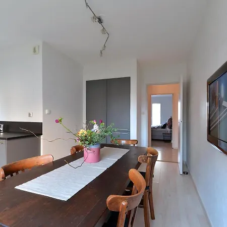 De Luxe En Hyper-centre Avec 3 Chambres, Balcon, Parking, Proche Musee Unterlinden - Fr-1-744-37 Holiday home