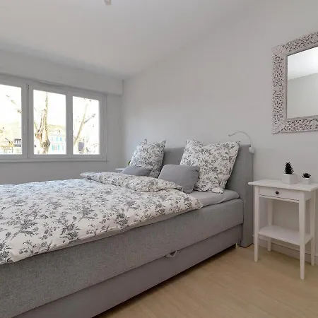 Holiday home De Luxe En Hyper-centre Avec 3 Chambres, Balcon, Parking, Proche Musee Unterlinden - Fr-1-744-37 Colmar